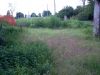 anteprima foto 3 Rustico / Casale Vendita Lendinara