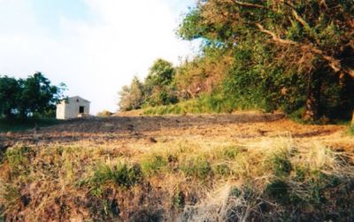 foto Rustico / Casale Vendita Maiera'