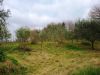 anteprima foto 2 Rustico / Casale Vendita Maiera'
