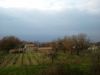 anteprima foto 7 Rustico / Casale Vendita Maiera'