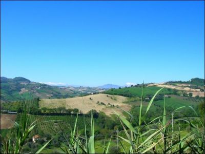 foto Rustico / Casale Vendita Massignano