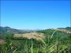 anteprima foto 1 Rustico / Casale Vendita Massignano
