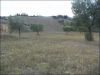 anteprima foto 9 Rustico / Casale Vendita Monsampolo Del Tronto