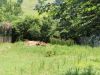 anteprima foto 4 Rustico / Casale Vendita Montechiaro D'Asti