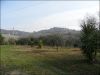 anteprima foto 10 Rustico / Casale Vendita Montecosaro