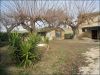 anteprima foto 2 Rustico / Casale Vendita Montecosaro