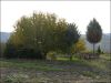 anteprima foto 9 Rustico / Casale Vendita Montefiore Dell'Aso