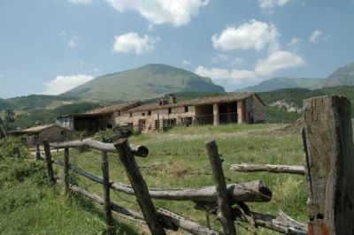 foto Rustico / Casale Vendita Montefortino