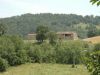 anteprima foto 10 Rustico / Casale Vendita Montefortino