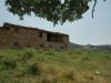 anteprima foto 6 Rustico / Casale Vendita Montefortino