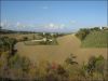 anteprima foto 8 Rustico / Casale Vendita Montelparo