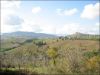 anteprima foto 9 Rustico / Casale Vendita Montelparo