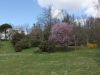 anteprima foto 6 Rustico / Casale Vendita Montemignaio