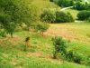 anteprima foto 6 Rustico / Casale Vendita Montenerodomo