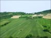anteprima foto 8 Rustico / Casale Vendita Monterubbiano