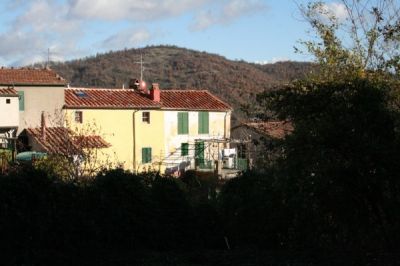 foto Rustico / Casale Vendita Montieri