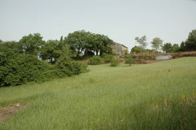 foto Rustico / Casale Vendita Montieri