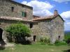 anteprima foto 1 Rustico / Casale Vendita Montieri