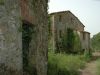 anteprima foto 3 Rustico / Casale Vendita Montieri