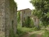 anteprima foto 4 Rustico / Casale Vendita Montieri