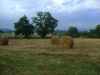 anteprima foto 4 Rustico / Casale Vendita Morolo