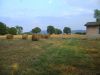 anteprima foto 6 Rustico / Casale Vendita Morolo