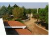 anteprima foto 7 Rustico / Casale Vendita Mottola