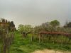 Rustico / Casale Vendita Nazzano 
