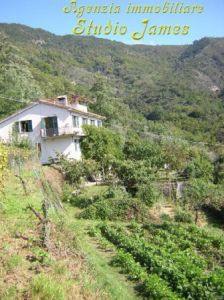 foto Rustico / Casale Vendita Ne