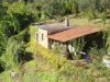 anteprima foto 5 Rustico / Casale Vendita Ne