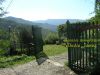 anteprima foto 7 Rustico / Casale Vendita Ne