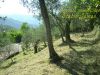anteprima foto 8 Rustico / Casale Vendita Ne