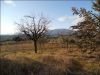 anteprima foto 10 Rustico / Casale Vendita Offida