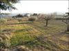 anteprima foto 8 Rustico / Casale Vendita Offida