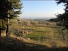 anteprima foto 9 Rustico / Casale Vendita Offida