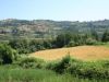 anteprima foto 3 Rustico / Casale Vendita Olmo Gentile