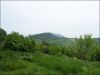 anteprima foto 5 Rustico / Casale Vendita Palmiano