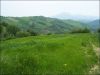 anteprima foto 6 Rustico / Casale Vendita Palmiano
