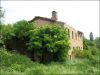 anteprima foto 7 Rustico / Casale Vendita Palmiano