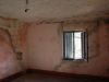 anteprima foto 9 Rustico / Casale Vendita Palmiano