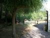 anteprima foto 5 Rustico / Casale Vendita Petralia Sottana