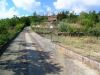 anteprima foto 7 Rustico / Casale Vendita Petralia Sottana