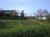 anteprima foto 2 Rustico / Casale Vendita Picciano