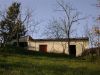 anteprima foto 5 Rustico / Casale Vendita Picciano
