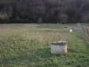 anteprima foto 9 Rustico / Casale Vendita Picciano