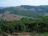 anteprima foto 4 Rustico / Casale Vendita Poggio San Marcello