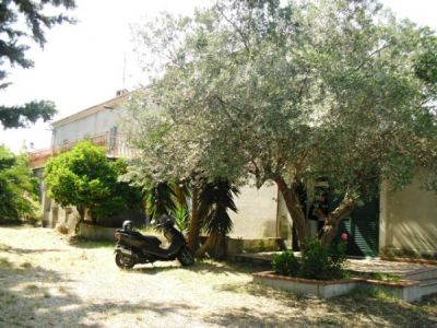 foto Rustico / Casale Vendita Pollutri