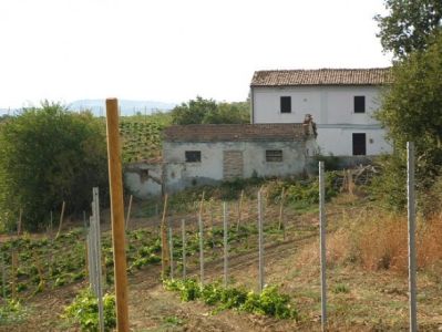 foto Rustico / Casale Vendita Pollutri