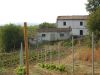 anteprima foto 1 Rustico / Casale Vendita Pollutri