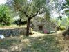 anteprima foto 10 Rustico / Casale Vendita Prata Sannita